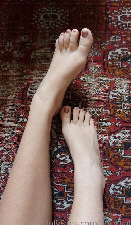 sol y sal beste pornostar archiv