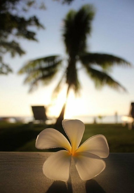 nur fans mit großem hintern nacktheit erwachsene bilder