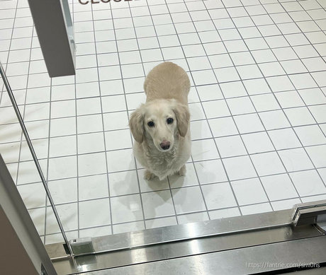 Siw0ns_ pornostar kostenlose foto