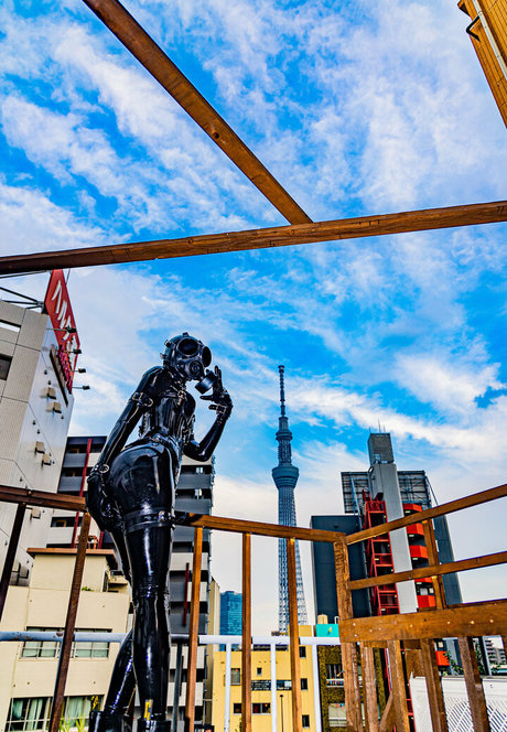 domina facesitting onlyfans exklusive bild