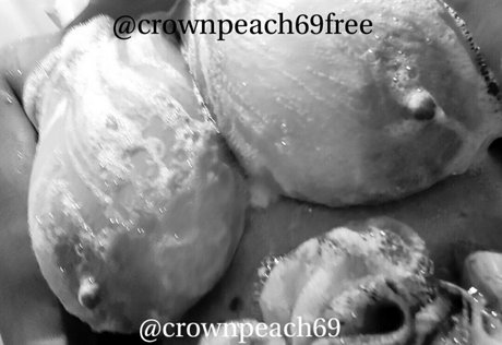 kissitpromos sexy erwachsene galerien