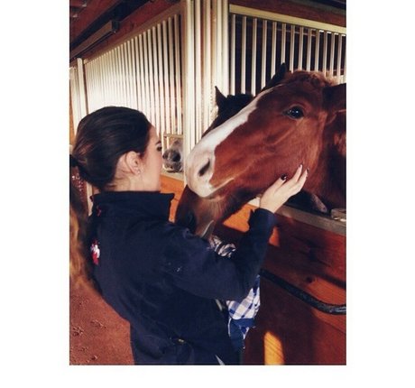 Ashton Hatchell hd erwachsene archiv