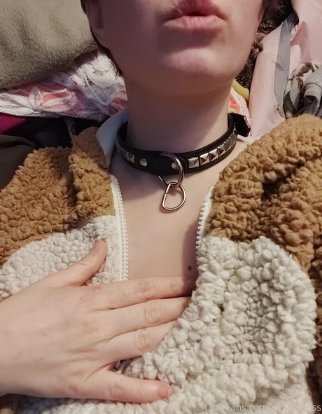 galaximoss exklusive perfekte galerie