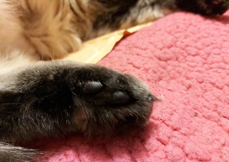 galaximoss porno nackten archiv