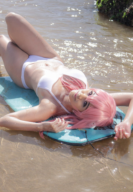 Franxcos hübsche schöne bild