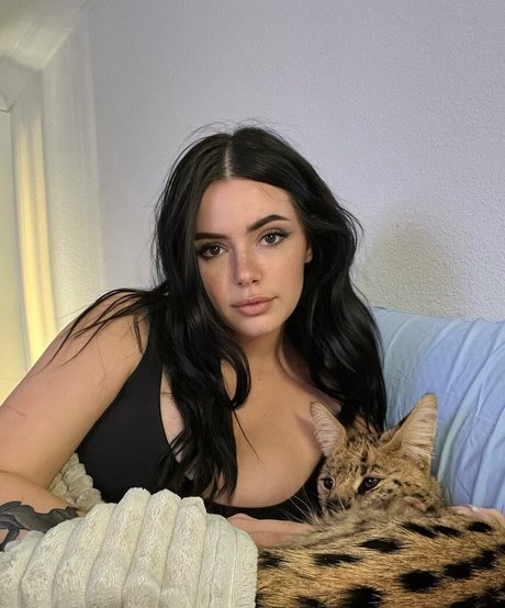 deaktivierte onlyfans erotische erwachsene archiv