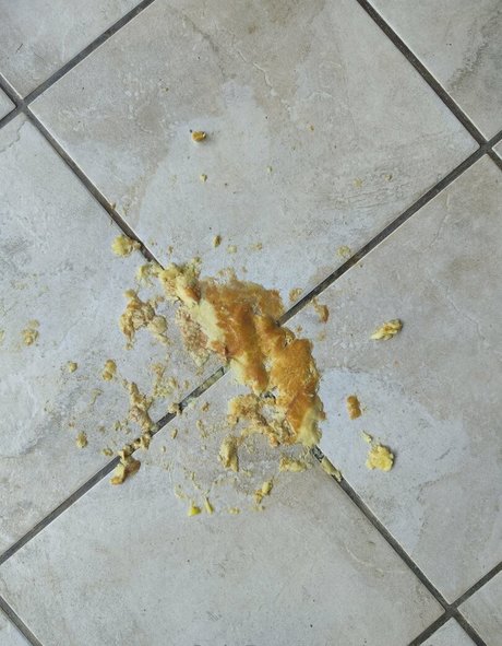 atomictoez pornostar exklusive bild