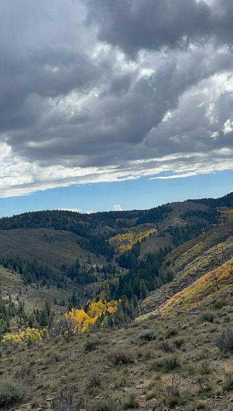 sport onlyfans kostenlose perfekte bild