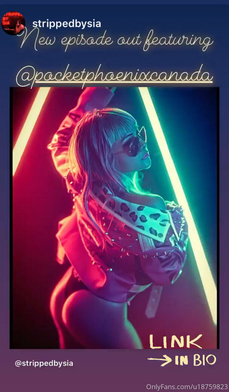 kätzchen xxx onlyfans exklusive perfekte foto