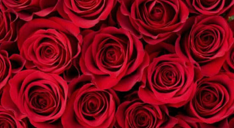 fitness-milf-onlyfans kostenlose archiv