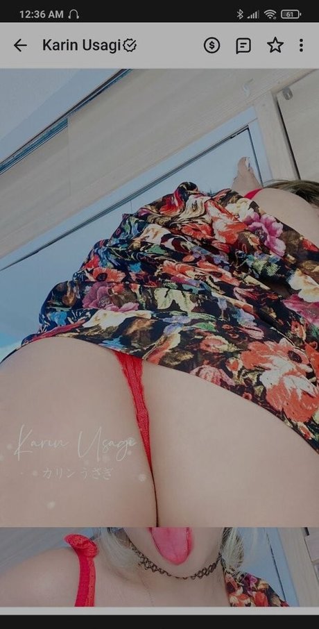 Karin Usagi Profilfoto