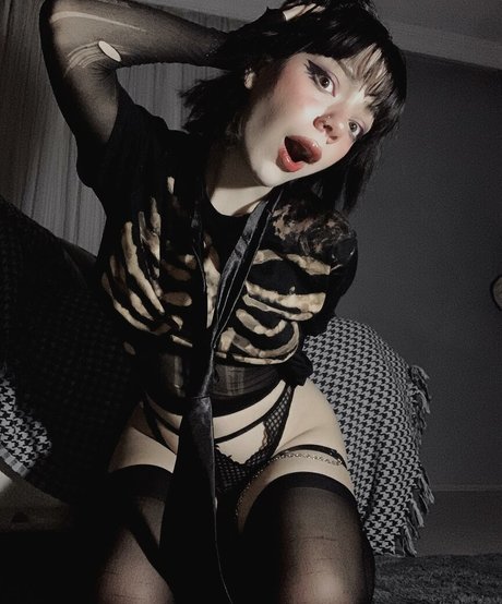 schwules gloryhole nur fans kostenlose pornografische bilder