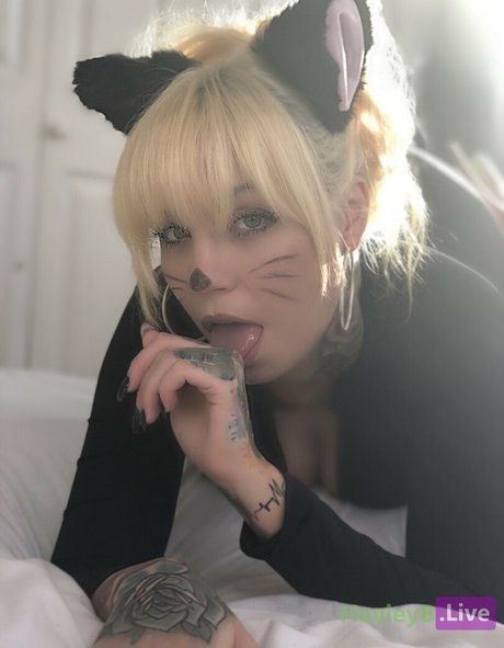 boss-onlyfans freie schöne bilder