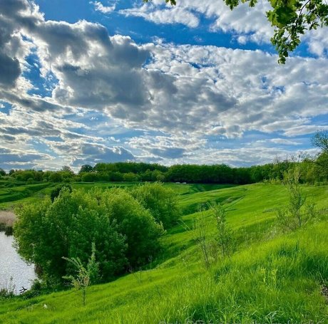 cherrykush6 heiße top galerie