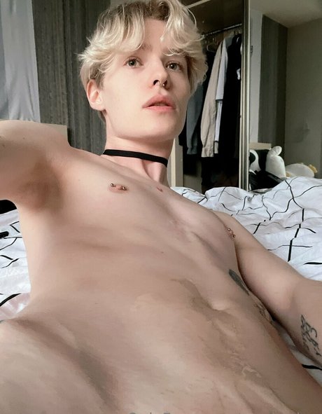 mark sinn perfekte galerien