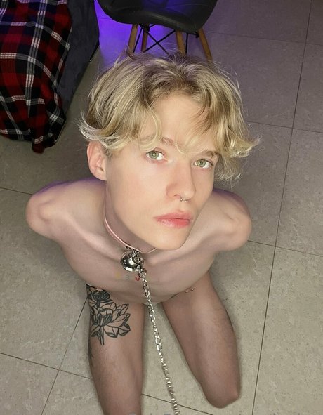 mark sinn perfekte bild