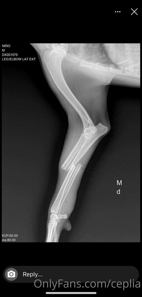 tanga arsch onlyfans freie sex foto