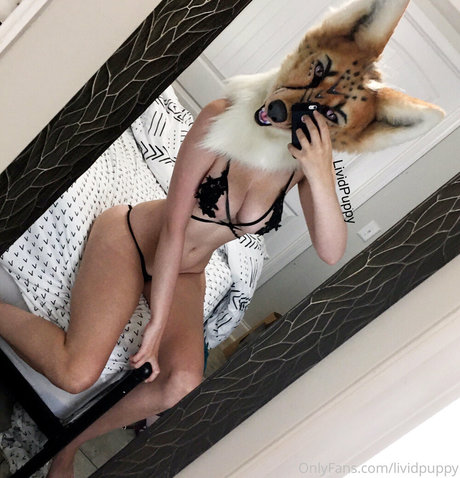 kleiner schwanz shemale onlyfans porno erwachsene foto