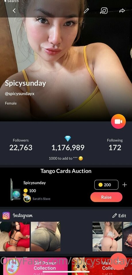 spicysundayx exklusive erotische bilder