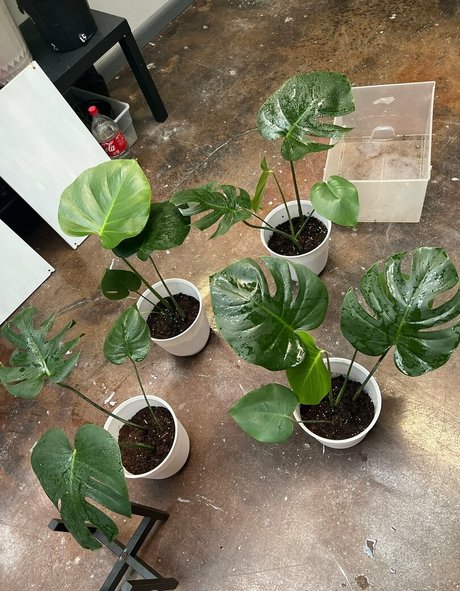 spicysundayx porno kostenlose fotos