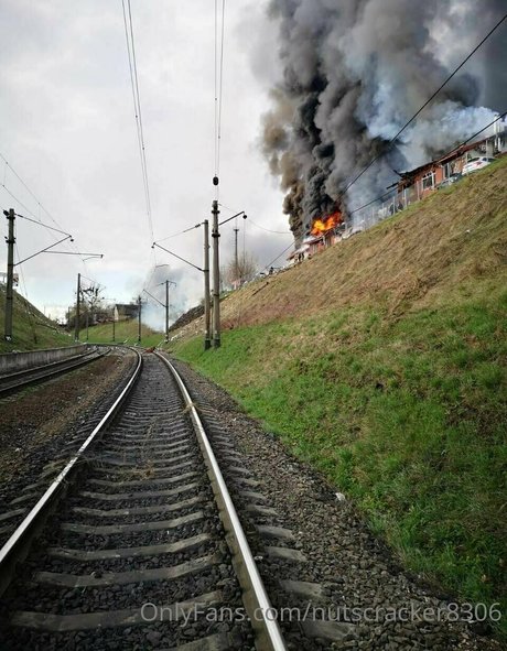 nutscracker8306 exklusive schöne archiv