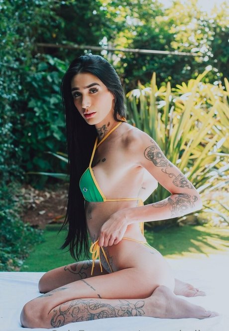 marceladimov hd kostenlose bilder