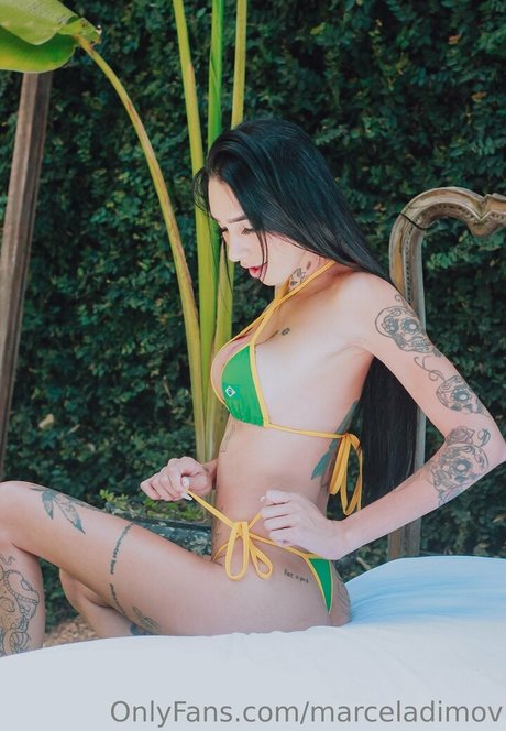 marceladimov heiße kunst galerien