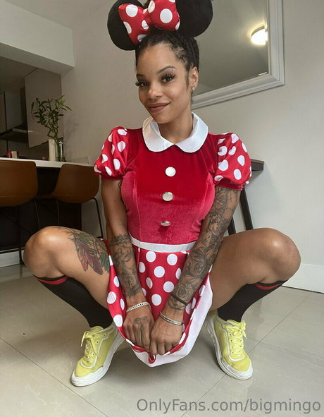 bigmingo xxx schöne bilder