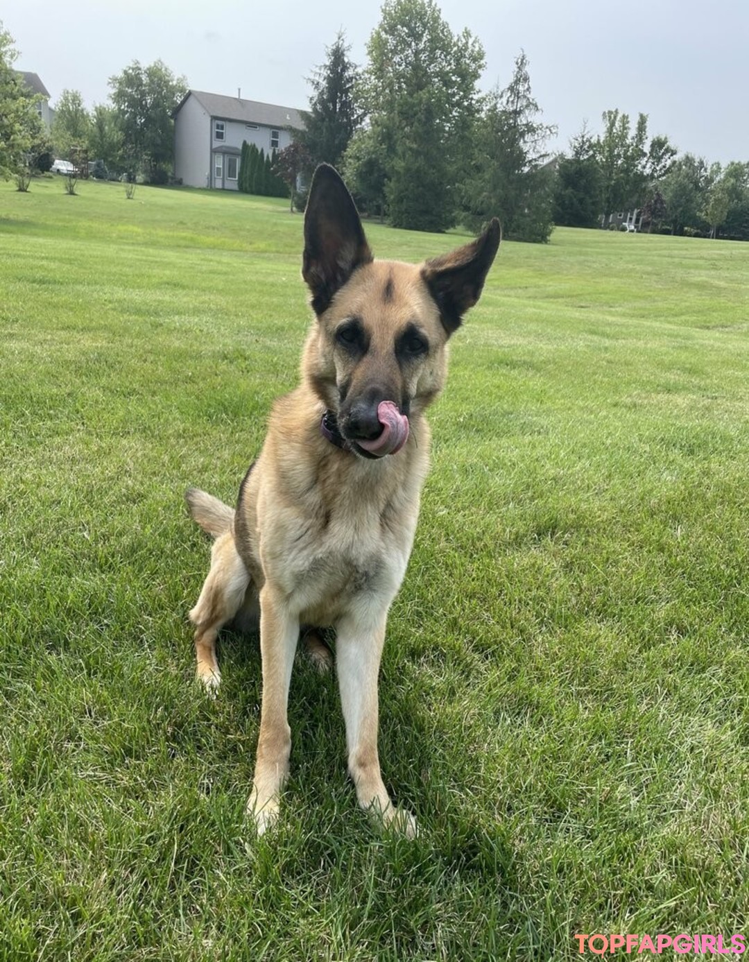 milf-orgie onlyfans xxx erwachsene archiv