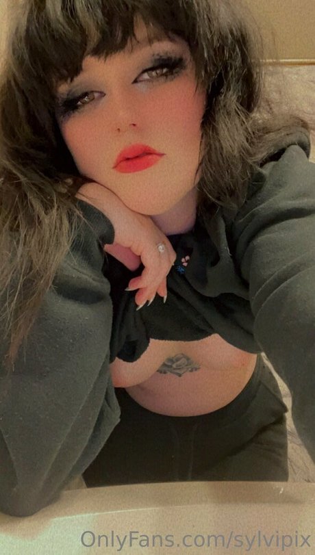 sylvipix perfekte sex galerien