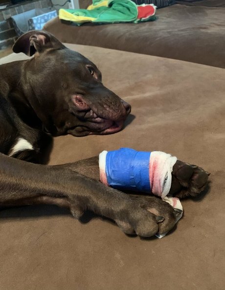 milf deepthroat nur fans sexy erotische archiv