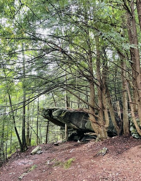 schwestern nur fans sexy nackte galerien