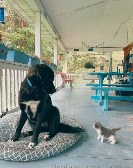 blowjob schlucken onlyfans hd freie galerien