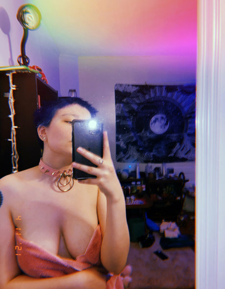 filomenastar freie hd fotos