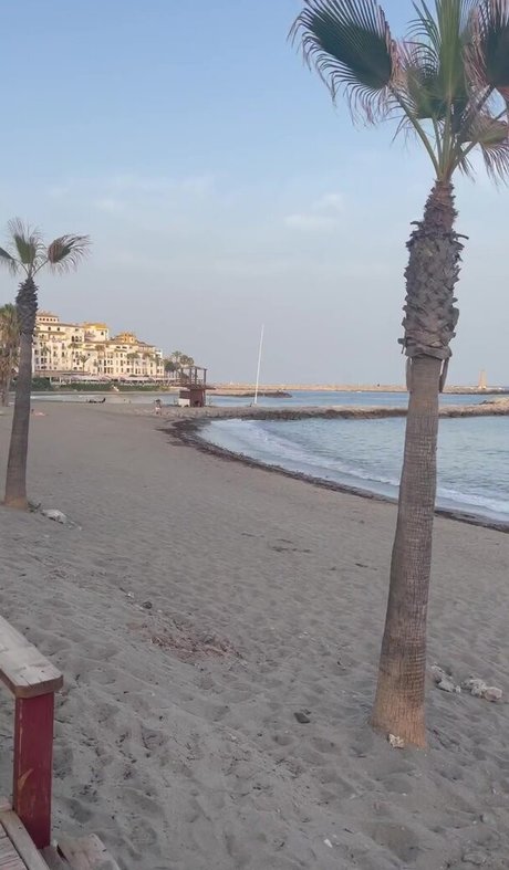 college-onlyfans top sex bild