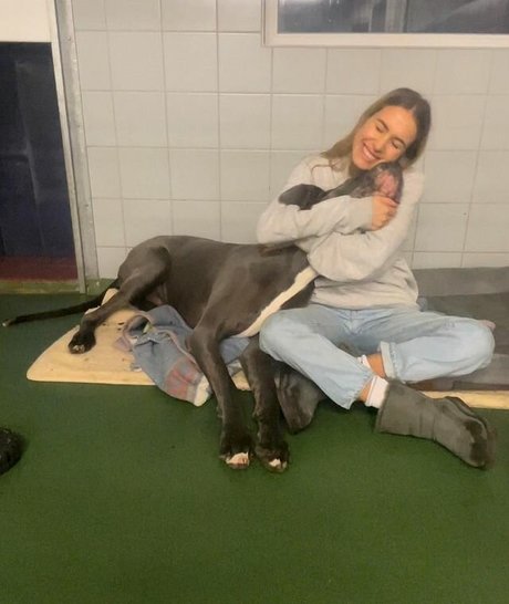 Alena Gerber pornostar erwachsene foto