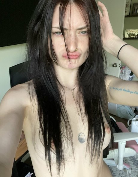 ariannas interlude model perfekte bild