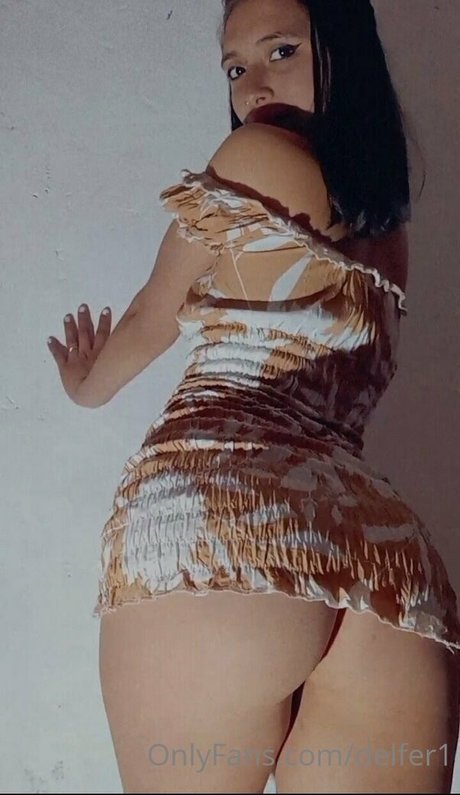 delfer1 top beste galerien