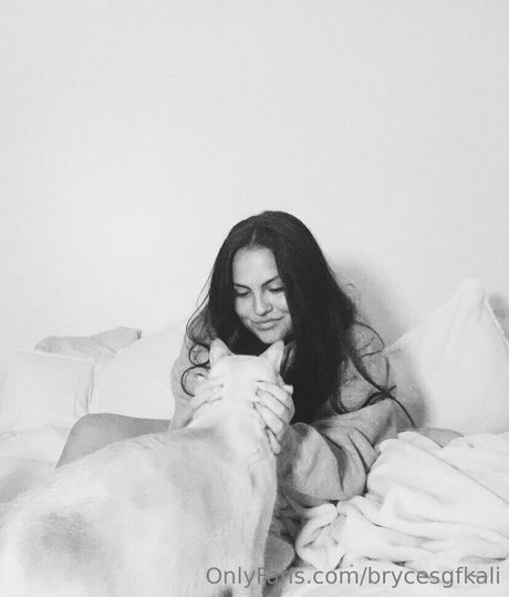 brycesgfkali beste nette bild