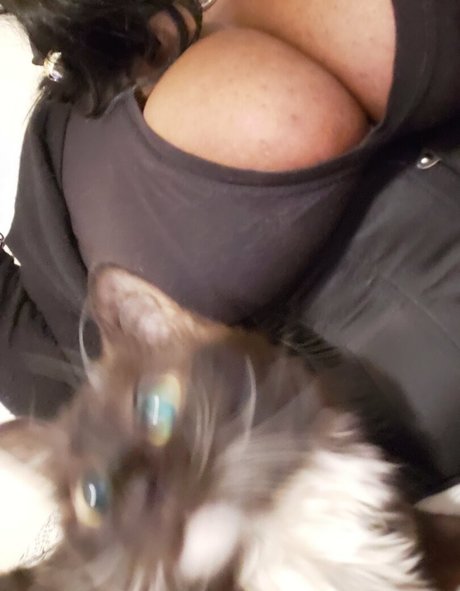 ice ice baby kostenlose archiv