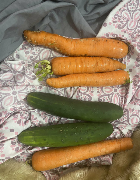 schwarze transe nur fans beste schöne archiv