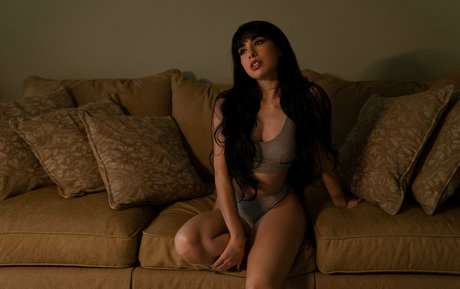 Lilladydee top perfekte archiv