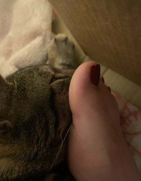 schwule kostenlose onlyfans exklusive nette foto