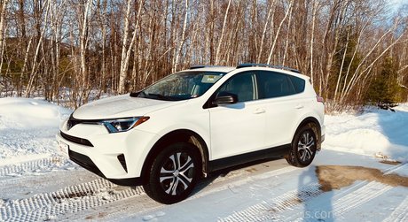 pashavixen kostenlose exklusive galerien