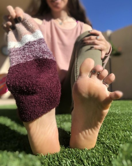 küken mit schwänzen onlyfans freie kunst fotos