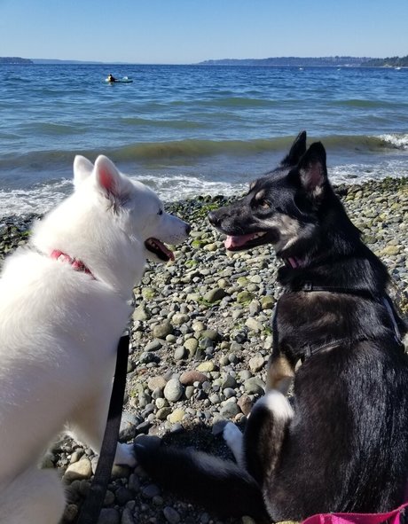 über 50 einzige fans erotische archiv