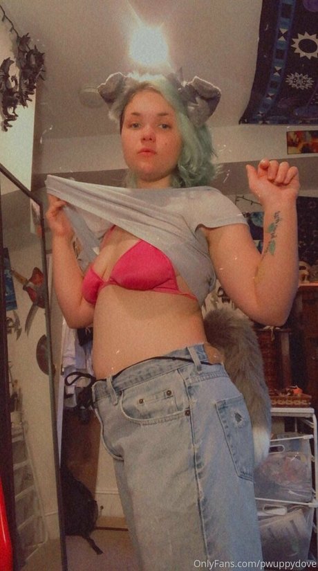 pwuppydove Fotoaufnahmen