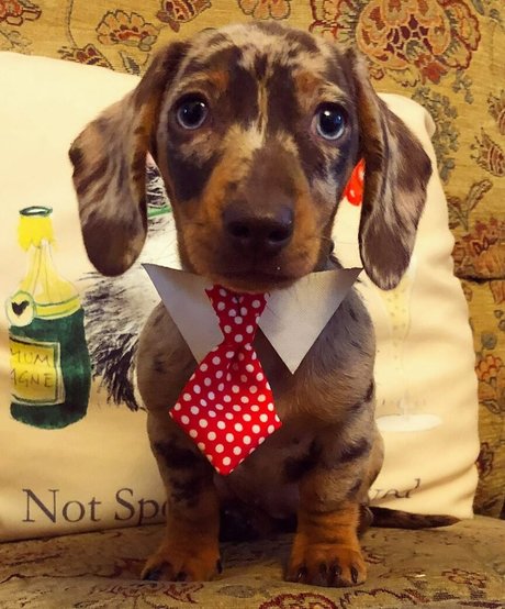 gummi-onlyfans porno kostenlose foto