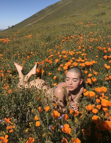 japanische solo-onlyfans kunst schöne fotos