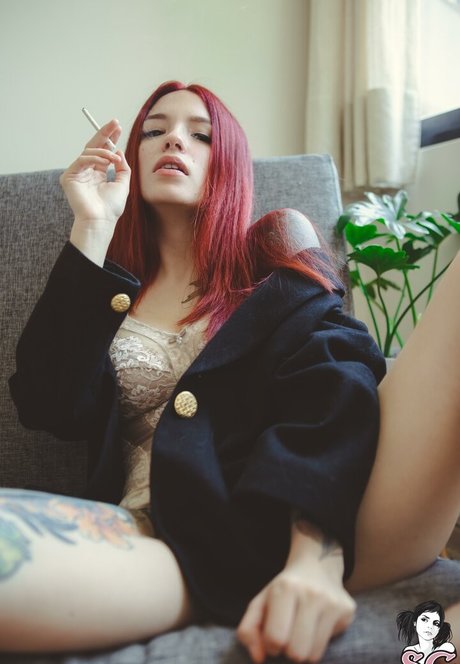 Cvrmillv freie hübsche foto